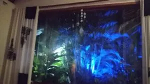 casa rural las margaritas- coraxaon da mata - Taboquinhas