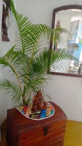 casa rural las margaritas- coraxaon da mata