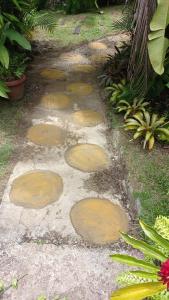 casa rural las margaritas- coraxaon da mata