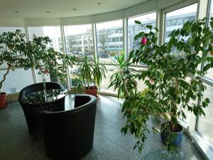 Central Hotel Winnenden