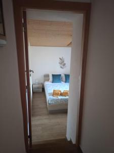 Moinho de Palma de NaturAlegre