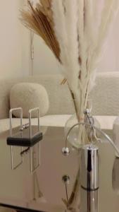 أستديو هادي