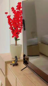 أستديو هادي