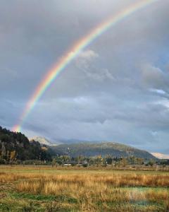 TRAVELLERS Camping & Dorms