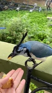 Cabinas Doña Regina - Sámara