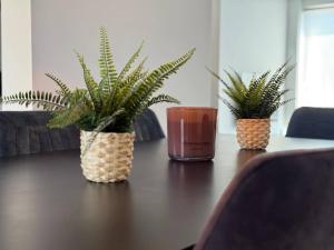 Modern 3BR House in Central Nuenen