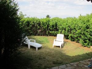 Maisons de vacances Location, piscine, animaux, jardin cloture, parking, var : Appartement 1 Chambre Laurel