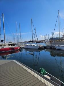 La stanza di Vincenzo Florio