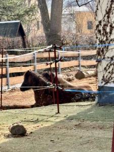 bei den Hundertelfen