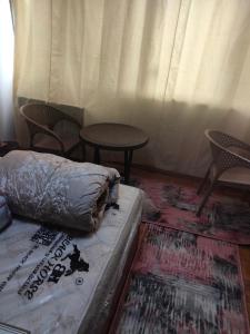 شقه 3 غرف هادئه على نيل المنيل القاهره