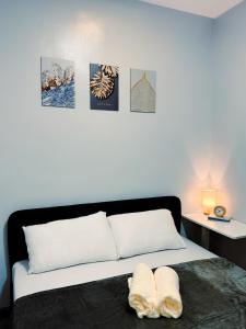 The Loop Staycation