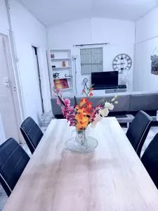 La villa des Paille en Queue - Saint-Gilles-les Hauts