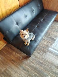 Cabaña Valdivia Piedra Blanca 1