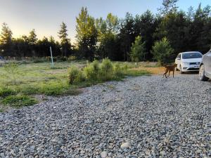 Cabaña Valdivia Piedra Blanca 1