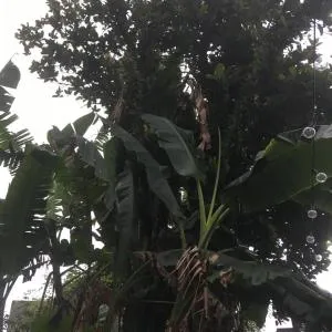 Aconchego - Água Boa