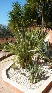 B&B / Chambres d'hotes B&B La Maison Du Castellet : photos des chambres