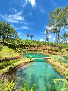 Fazenda Brotas SP - Torrinha