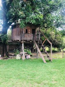 Sitio cantinho verde florestal mg