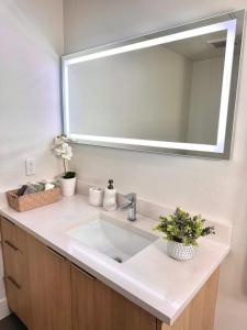 Beautiful 2bd 2bth apartment in Santa Monica