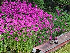 Jecheon Areumdaun Sesang Pension