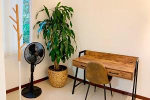 Primavera en casa, Manila Medellín