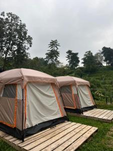 Dewi Camp - The Valley House Ci Dwi Resort