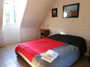 Spacieuse maison familiale à Groix avec jardin - FR-1-813-21