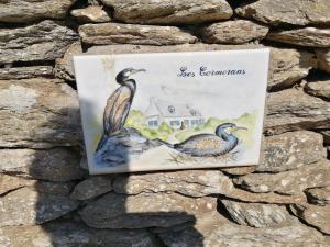 Maisons de vacances Spacieuse maison familiale a Groix avec jardin - FR-1-813-21 : photos des chambres