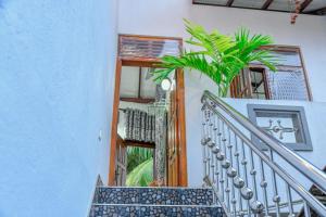 Turtle cove residence