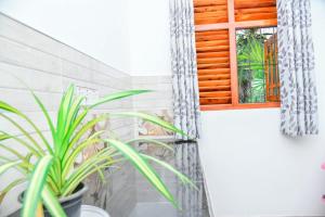 Turtle cove residence