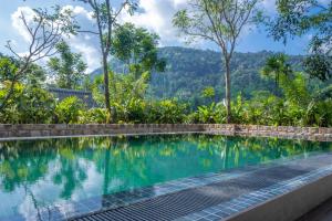 Sinharaja River Lodge