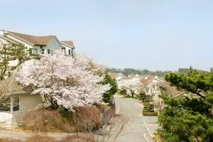 Gyeongju Mauna Ocean Resort - Suryŏm-ni