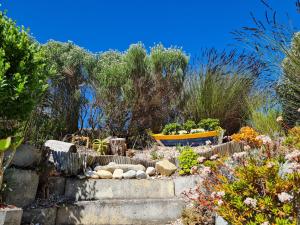 3onPacific, Cola Beach, Sedgefield