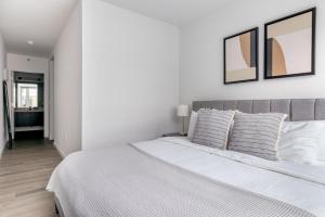 SoMa 2br w roofdeck gym pet area nr I-80 SFO-1452