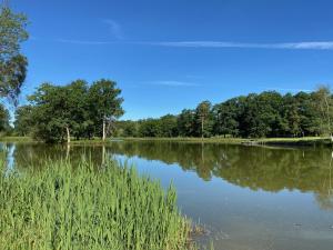 Hotels Domaine Du Roncemay - Hotel, Restaurants, Spa & Golf : photos des chambres