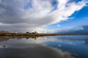 Casa Francesco img15