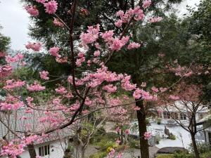 福緣山莊 桃園市民宿004號
