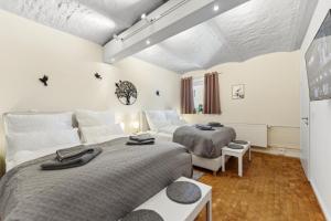 HAIM2 Urban Loft Göttingen