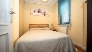 Cozy apartment in downtown Somo