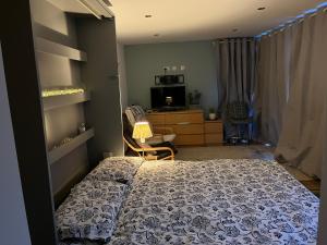 Tiny house with pull down bed