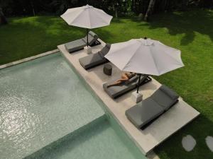 The Jangala Luxury Retreat Ubud - Villa Hutan