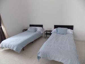 Plaza del Rey Apartments