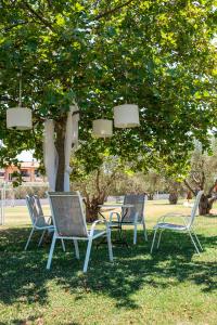 New Sea and Sun Apartment