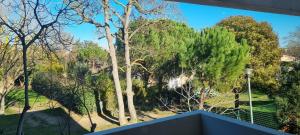 Appartements Jardin des oiseaux : Appartement 1 Chambre