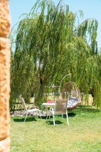 New Sea and Sun Apartment