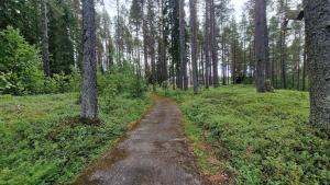 Stuga Björn - Quiet cabin at lake Edesjön