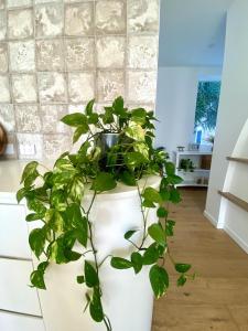 Villa Alysea at Runaway Bay