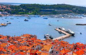 Beautiful villa Pianta with pool in Porec