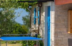 Beautiful villa Dussich with pool near Oprtalj