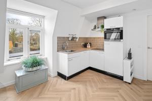 Unique penthouse near city center and Park